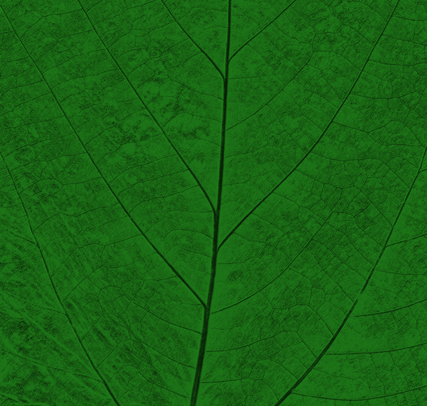 Pastel Leaf 10
