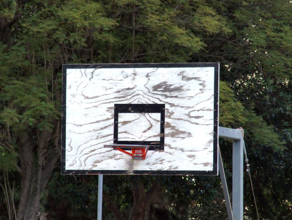 basketball hoop1