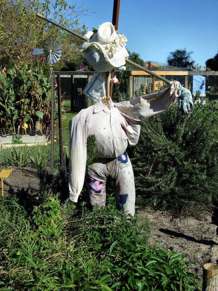 veggie patch scarecrow