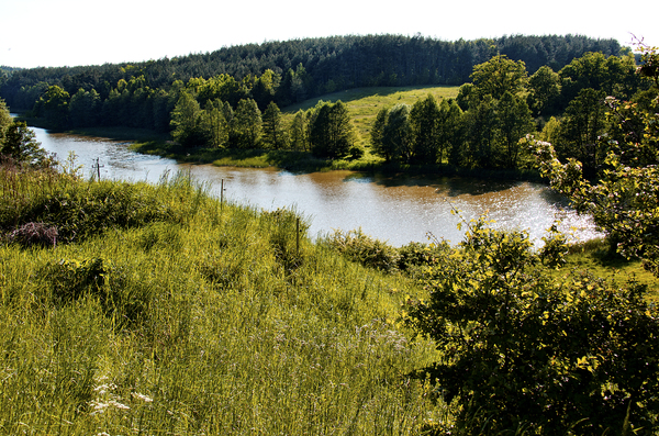 Kwidzyn village river