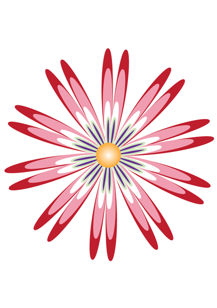 red and pink flower design