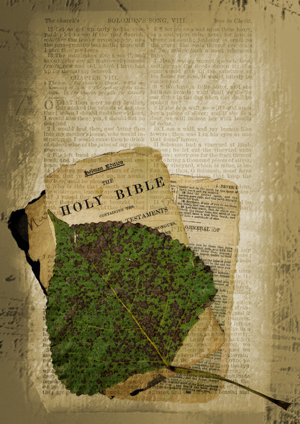 Bible Collage