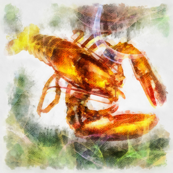 Lobster: Digital lobster illustration.