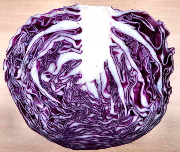 red cabbage textures1