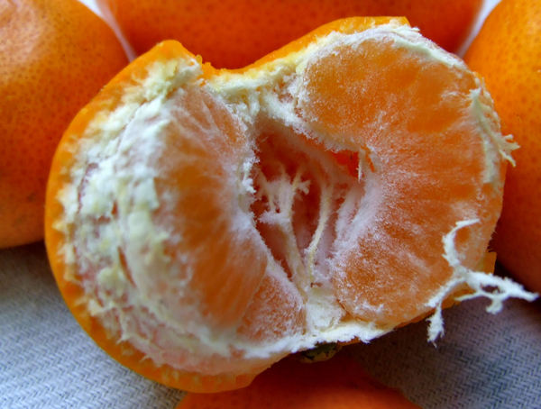 tasty mandarins5