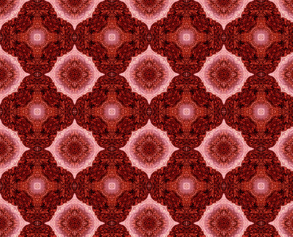 mystical red carpet