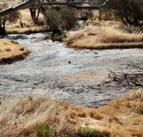 dry riverbed1