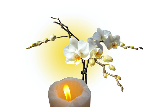 White Orchids with candle