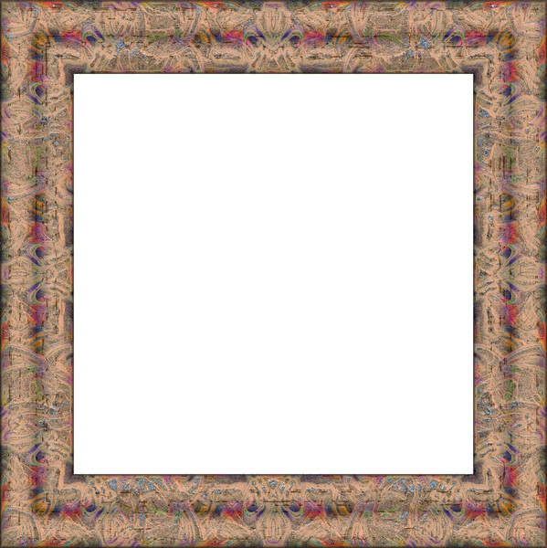 Fancy Picture Frame 17