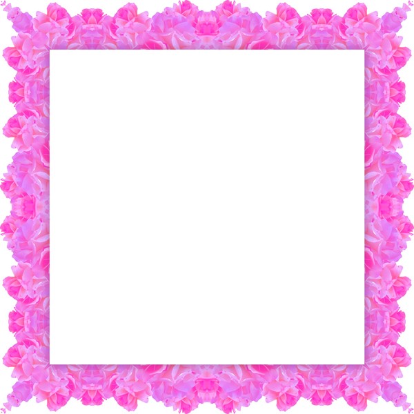 Square Floral Frame 2