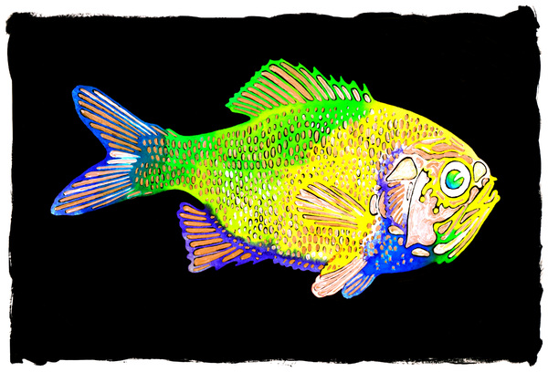 Painted Fish 1