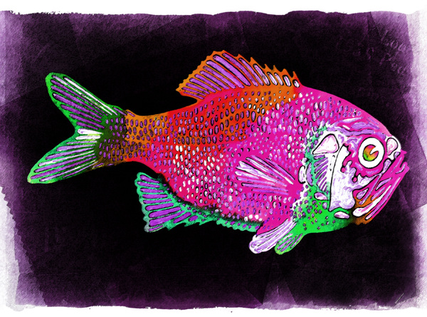 Painted Fish 3