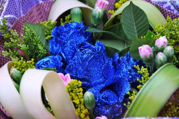 blue sparkle flowers