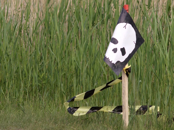 Pirate scull flag on a pole