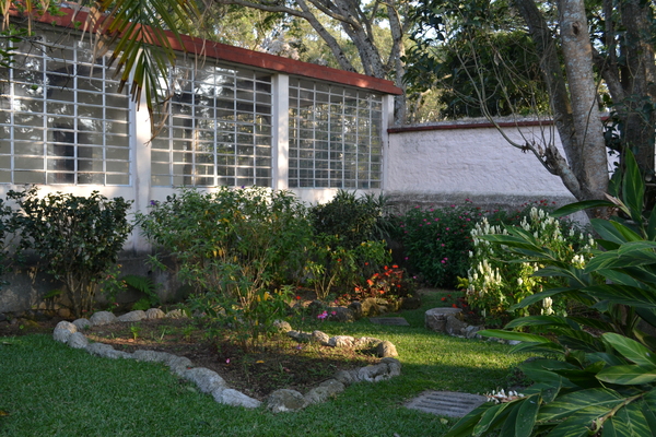 A quiet corner in the garden.