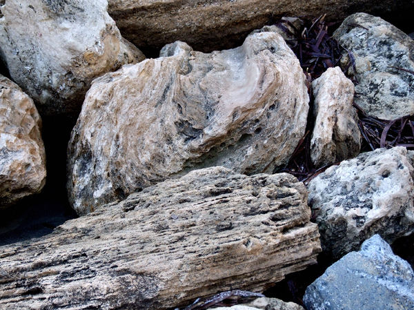 seaside rock textures1