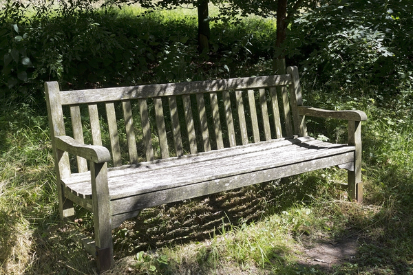 Shady garden bench