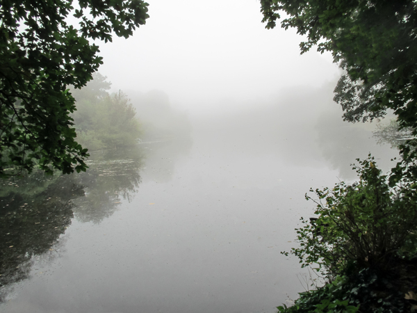 foggy autumn lake 3