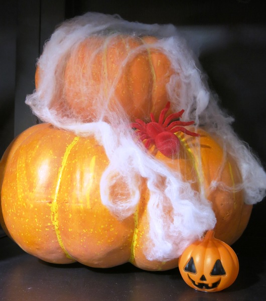 Halloween pumpkins and spider