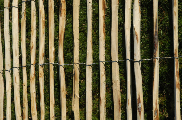 wooden fence 1