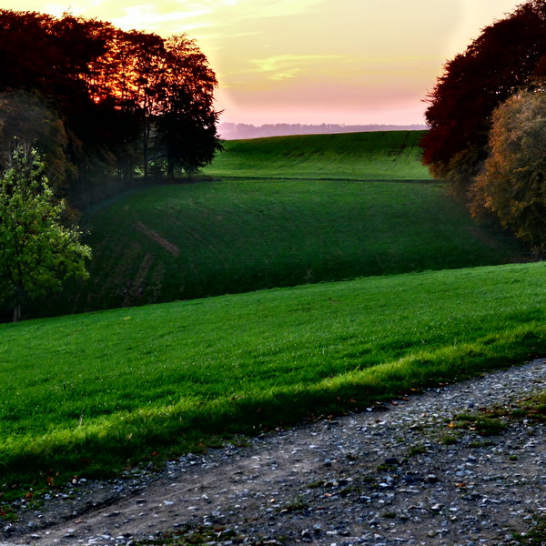 Sunset countryside