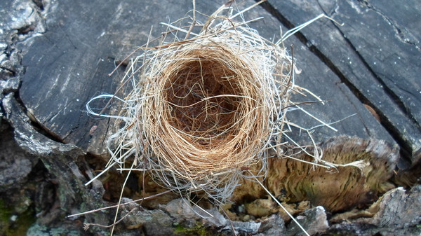 Ready made nest-