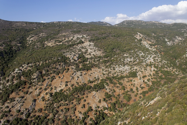 Golan Heights landscape