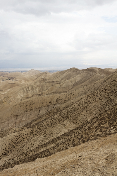 Israel desert