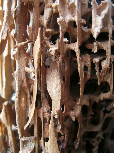 Patterns of decay-