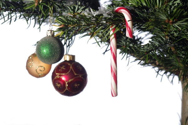 Christmas tree: Christmas tree with ornaments