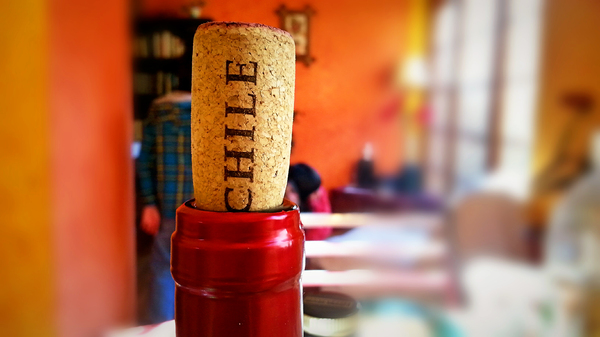 Chilean cork