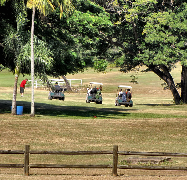 golf course movement1b: golfers on the move on public park golf course
