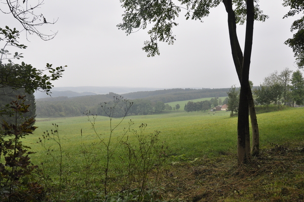 Landschaft bei Bad Driburg