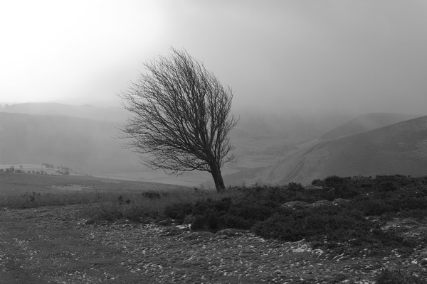 Winter landscape, Wales B/W