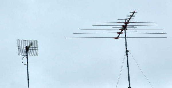 antenna competition