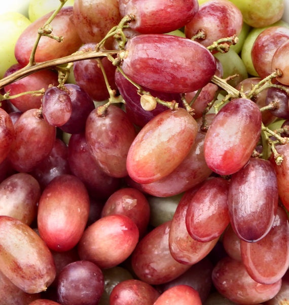 seedless grapes4