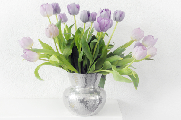 flowers: spring flowers, tulips