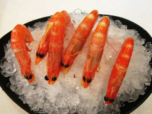 Cooked shrimp on ice