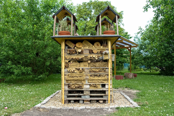 Deluxe insect hotel