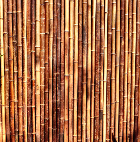 bamboo screen fence1: bamboo screen fencing