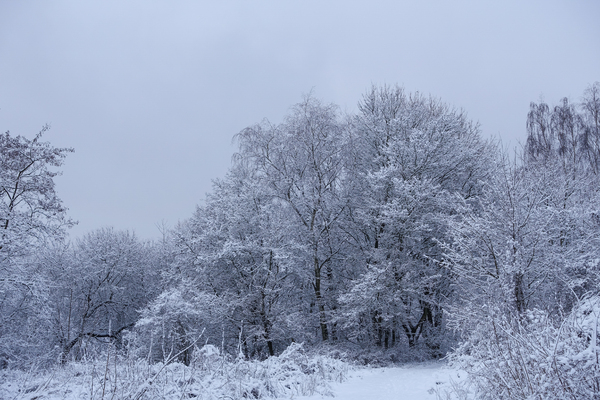 peaceful winter landscape 2