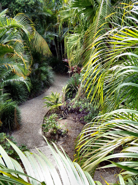 palm garden path4