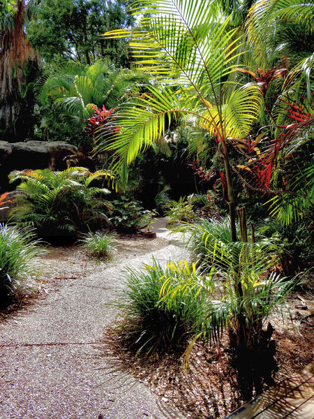 palm garden path2