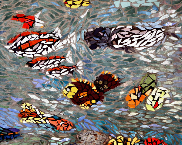 mosaic fish2