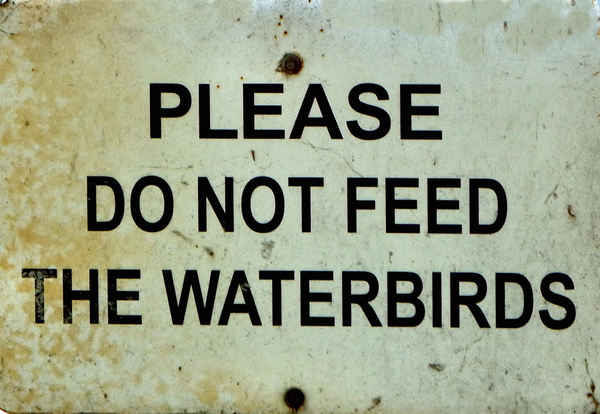 weathered park pond sign1