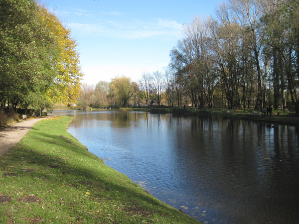 A lake in the park