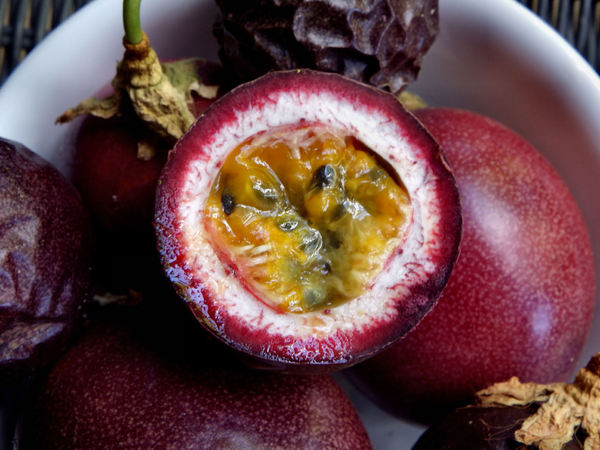 ripe passionfruit3