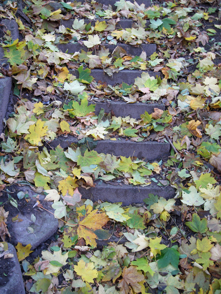 Autumn leaves on the stairs