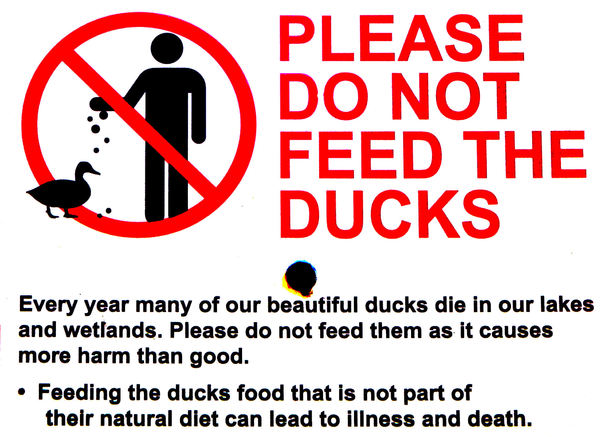 avoid fatal feeding