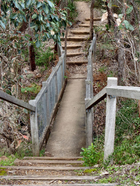 rugged bush steps2